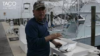 Fishing Tips from Captain Ray Rosher