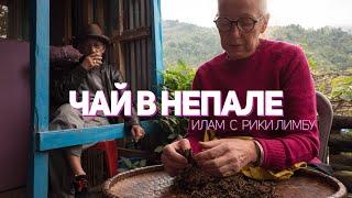 Чай в Непале - Илам с Рики Лимбу