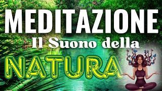 Entra nel FLUSSO DI COSCIENZA-MUSICA-VOCE e SUONI della NATURA-Meditazione