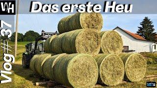 Vlog#37 Erstes Mal Heu machen! 2024 Mit #deutz #traktor #mchale #fendt