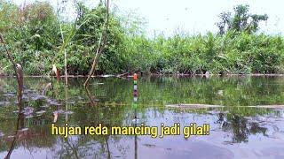 SEMAKIN GILA!! Mancing setelah hujan tiba tiba ikan nila besar nya pada ngamuk!!