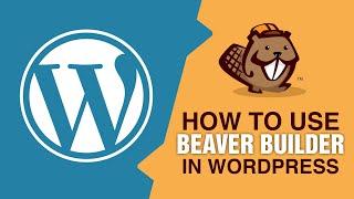 Build A WordPress Website In Minutes Using Beaver Builder