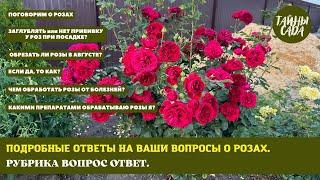 ЭТО ВАЖНО ЗНАТЬ! РОЗЫ. КАК САЖАТЬ РОЗЫ? ЧЕМ ОБРАБОТАТЬ РОЗЫ? РОЗЫ ОСЕНЬЮ. МОЙ ОПЫТ ВЫРАЩИВАНИЯ РОЗ.