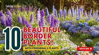 10 BEST PERENNIALS for BEAUTIFUL BORDER PLANTS!  // Gardening Ideas