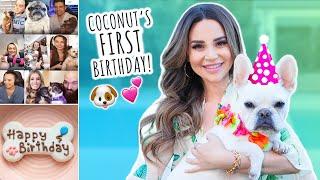 Throwing My Dog an EPIC Birthday Party!