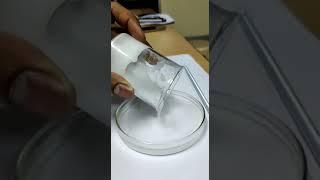 POURING PVA POLYMERIC SOLUTION  IN PETTRI DISH