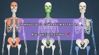 1минутта сүйектерді жаттаймыз.Қазақша БИОЛОГИЯ