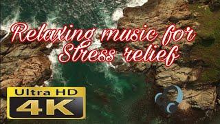 Relaxing Music for Stress Relief ~ Calming Music ~ Meditation, Relaxation, Sleep, ACM Music.