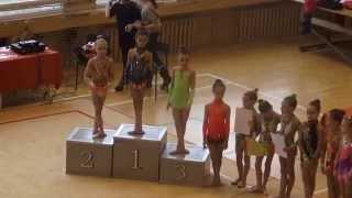 LT vaikų meninės gimnastikos žiemos pirmenybių apdovanojimai 2007m.kat. 2015 03 07