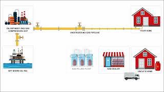 The Cooking gas Supply Chain