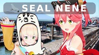 Sakura Miko Finds Seal Nene in San Francisco 「 Kanauru Original 」