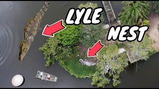 Lyle the Nile Crocodile is going to be a DAD!