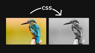 How To Create Black and White image with CSS | Gray Image Using CSS | HTML & CSS Tutorial