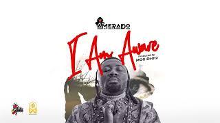 Amerado - I Am Aware (Lyrics Video)