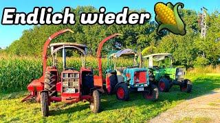 Farmvlog #383 | Alle guten Dinge sind 3!