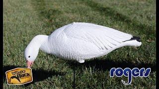 White Rock EVAC Series Snow Goose Decoys