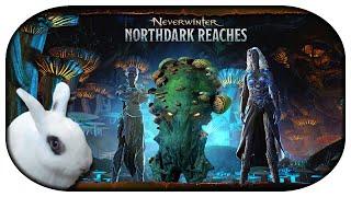 NEVERWINTER: Mod 24  00 - Ein Überblick und 62x "Schatzladen des Mykoniden" [Northdark Reaches]