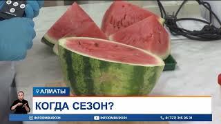 Безопасны ли сейчас арбузы?