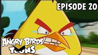 Angry Birds Toons | Run Chuck Run - S1 Ep20