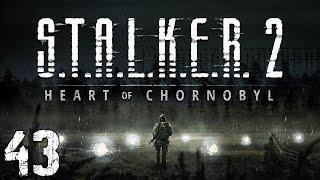 S.T.A.L.K.E.R. 2: Heart of Chornobyl #43. Янтарь