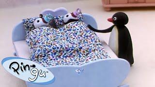 Pingu The Babysitter  | Pingu - Official Channel | Cartoons For Kids