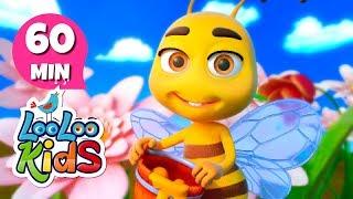 My Little Bee - S2EP17 Musical Adventure Collection - LooLoo Kids Songs for Kids