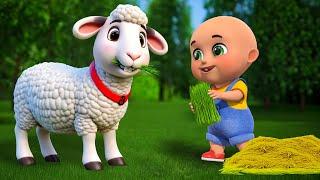 Baa Baa White Sheep New Compilation | Old MacDonald Song | Nursery Rhymes and Kids Songs | Baby Bobo