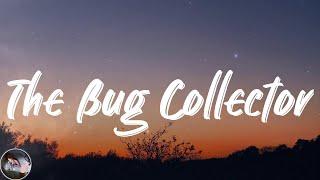 Haley Heynderickx - The Bug Collector (Lyrics)