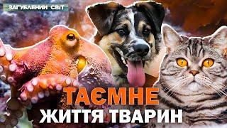 Як тварини впливають на цивілізацію? Неймовірні історії природи. Загублений світ. Повний випуск