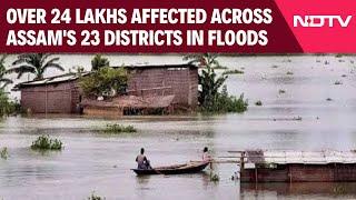 Assam Flood News | Over 24 Lakhs Affected Across Assam's 23 Districts In Devastating Floods