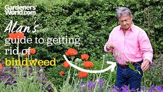 Alan's guide to getting rid of BINDWEED (without using chemicals!)