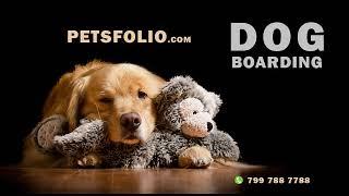 Dog Boarding Services - Petsfolio | The perfect shelter for your dog