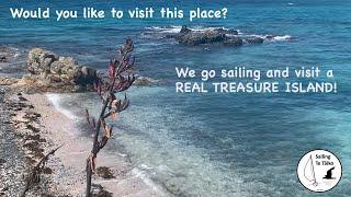 We go sailing and visit A REAL TREASURE ISLAND in New Zealand