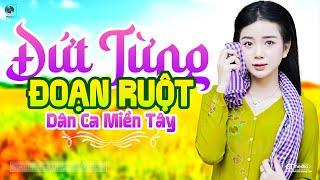 Đứt Từng Đoạn Ruột - LK Dân Ca Miền Tây 2024, Nhạc Trữ Tình Quê Hương Chọn Lọc - Dân Ca Miền Tây