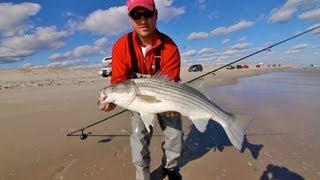 Striped Bass - NJ Surf Fishing