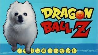 DRAGONBALL Z - 'SAGA MAJIN BUU' em CACHORRÊS