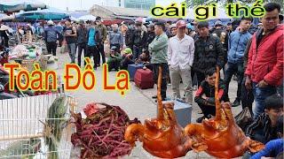 Chợ Phiên Bờ Sông LẠNG SƠN Bán Toàn CỦA NGON VẬT LẠ | Miền núi tây bắc