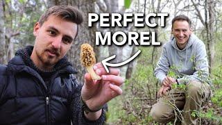 Foraging for Morels, Wild Fruits, Greens, and more with @FeralForaging