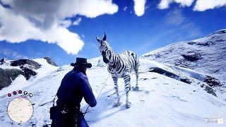 Arthur Catch Zebra Horse - Red Dead Redemption 2 Gameplay