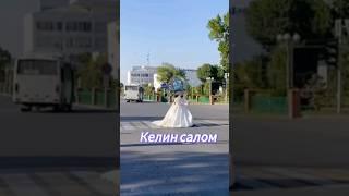 ‍ Гулистонда йўлнинг ўртасида ҳайдовчиларга "Келин саломи" берилибди ‍ #Sirdaryo #Guliston