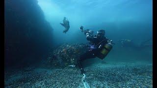 Diving Cape Town