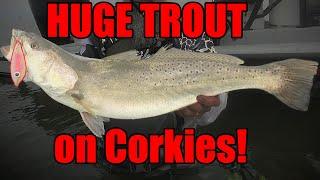 Huge Trout on Corkies with Capt. Colton Blackwell