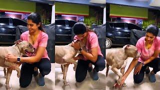 Tanya Ravichandran Latest Video in Dog | Tanya Ravichandran | Cinemaths Tamil