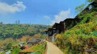 Walking in the most extreme village, located on the edge of the ravine, Tieng Village, Indonesia