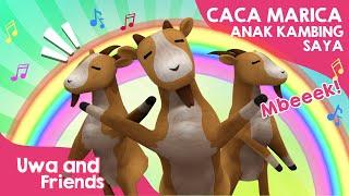 Caca Marica Anak Kambing Lucu Saya - Lagu Anak 2024