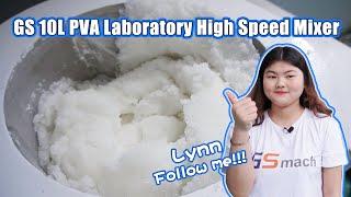 GS 10L PVA Laboratory High Speed Mixer