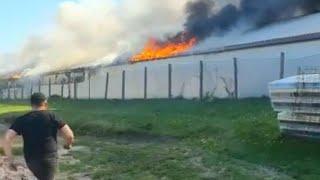 Ferma primarului din Bosanci, cuprinsă de un incendiu