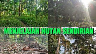 GAK BAHAYA TA‼️ KELILING HUTAN YANG SEPI SENDIRIAN