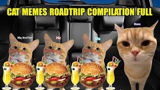Cat Memes Roadtrip Compilation Full