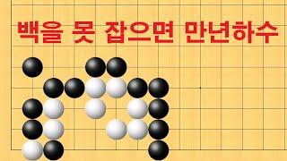 바둑 묘수 사활 - 백을 못 잡으면 만년하수 입니다